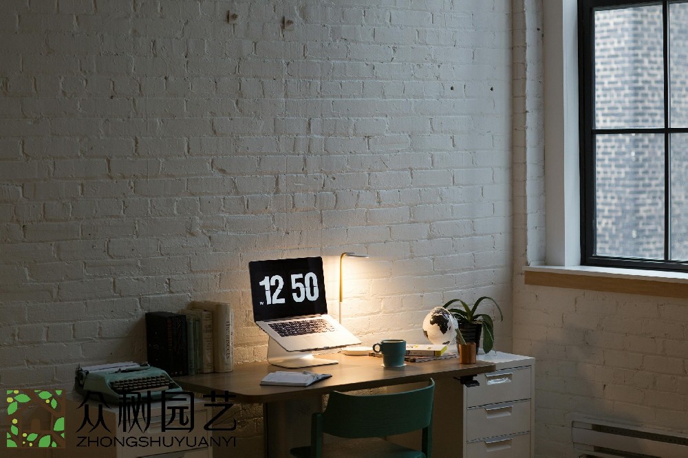 蘇州室內(nèi)綠植租擺費(fèi)用揭秘：預(yù)算、選擇和維護(hù)，一次性了解!